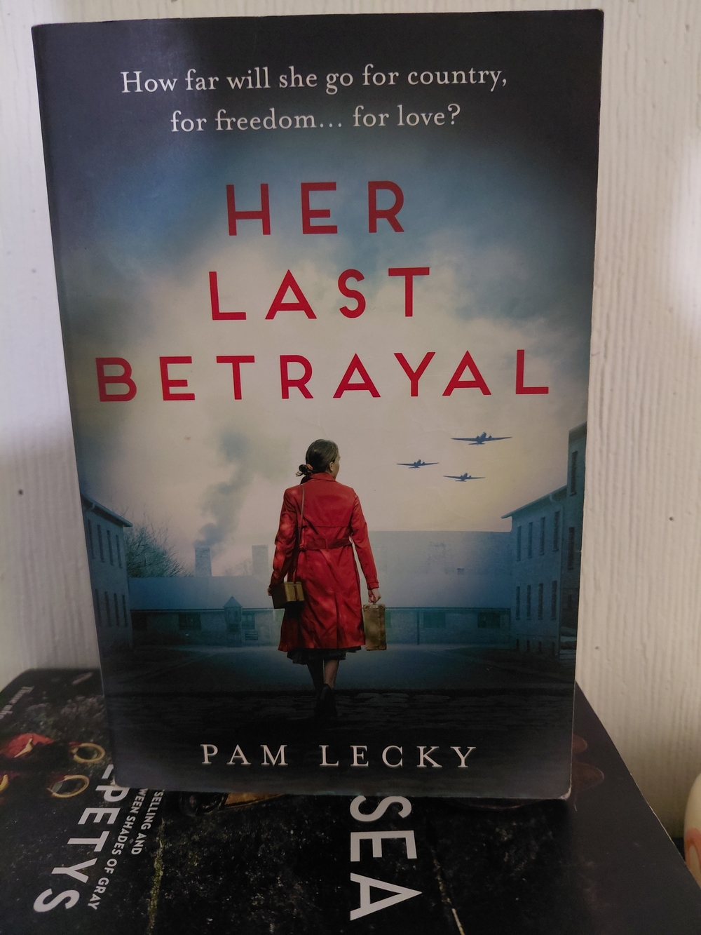 Her Last Betrayal by Pam Lecky - Red Cover Paperback